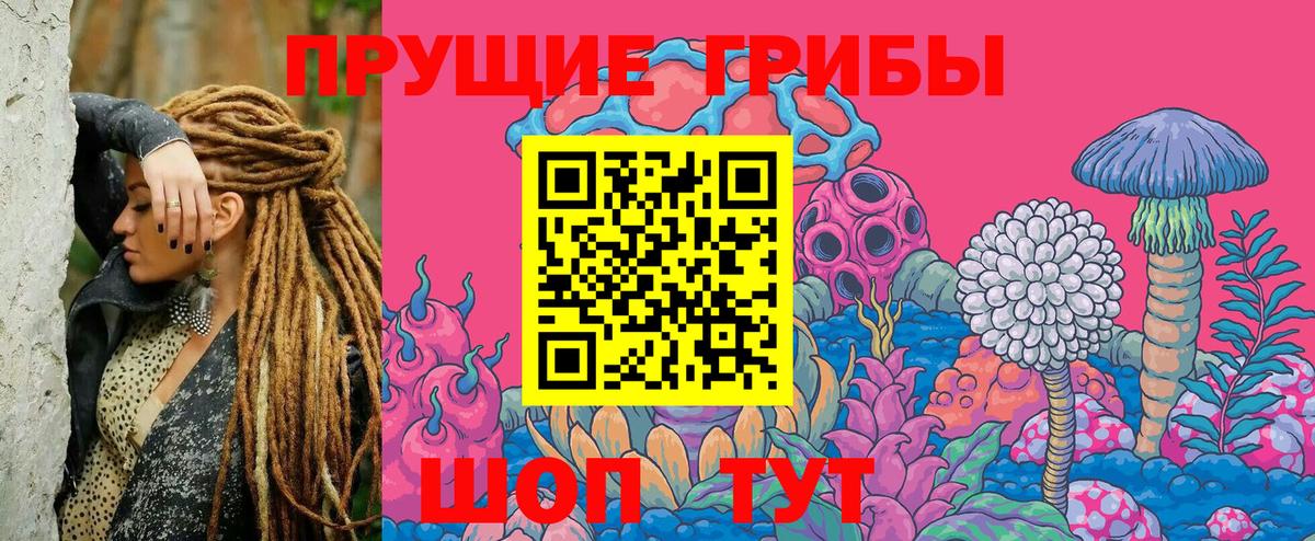 Псилоцибиновые грибы прущие грибы  Вход с VPN  Клин 